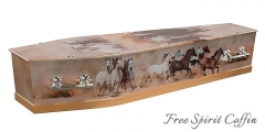 Free Spirit Coffin